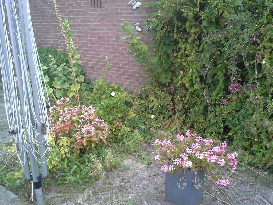 renovatie1