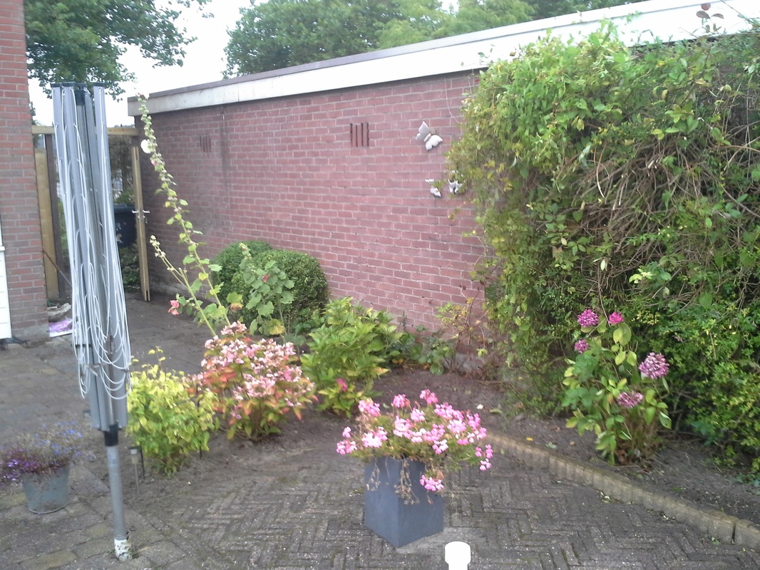 renovatie2
